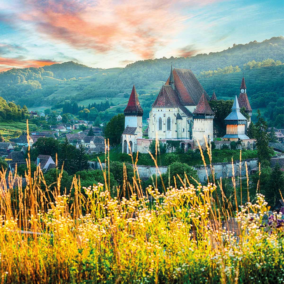 MONDBERGE Magazin - Ausgabe 19 (Feldhamster)