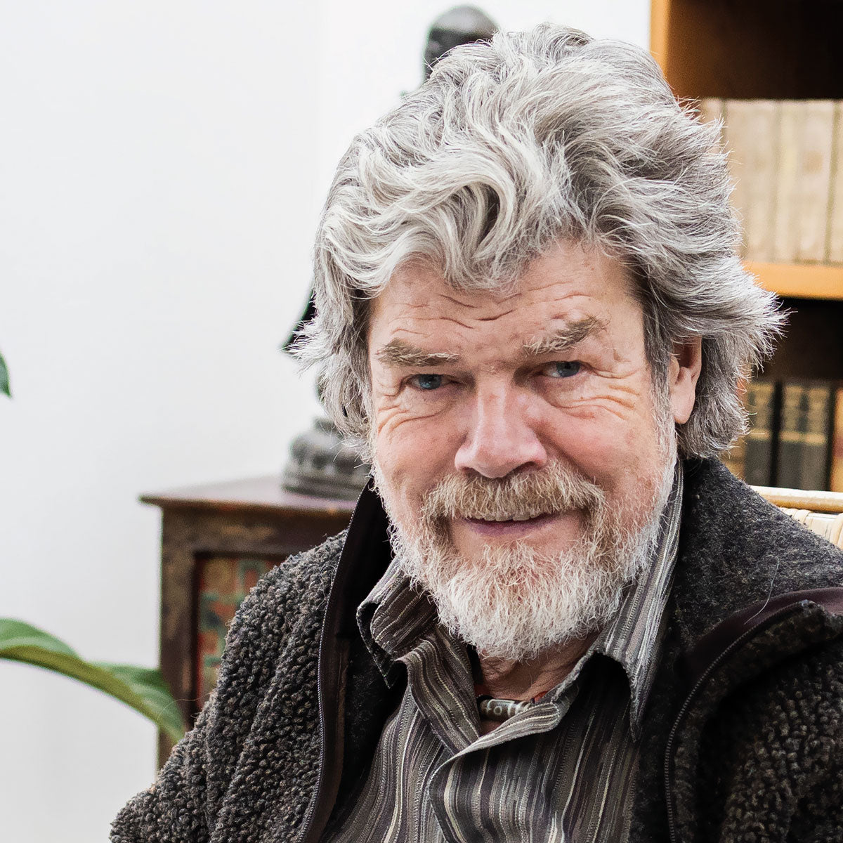 MONDBERGE Magazin - Ausgabe 16 (Wildbienen)