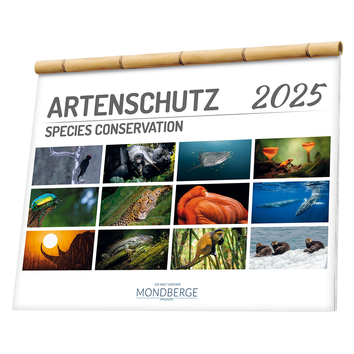 Mondberge-Artenschutzkalender 2025