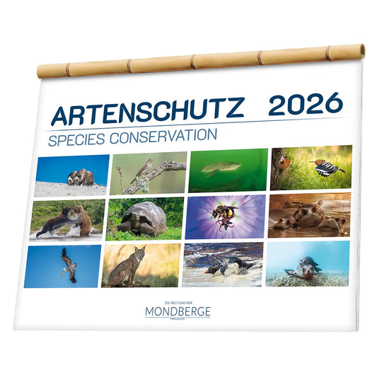 Mondberge-Artenschutzkalender 2026 - erscheint Anfang Oktober 2025