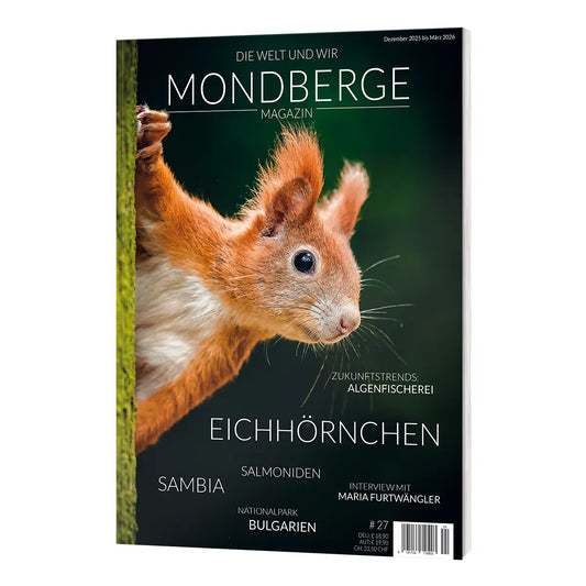 Vorbestellen: MONDBERGE Magazin - Ausgabe 27 (Eichhörnchen) (erscheint im Dezember '25)