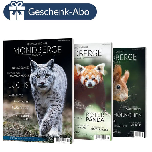 Geschenkabo MONDBERGE-Magazin