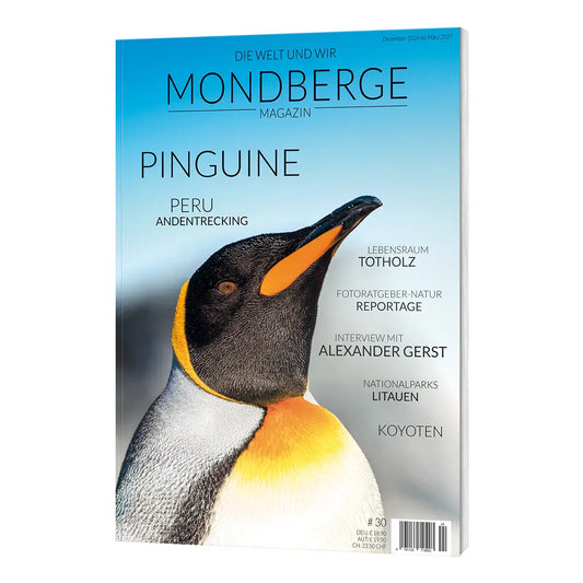 Vorbestellen: MONDBERGE Magazin - Ausgabe 30 (Pinguine) (erscheint Dezember '26)