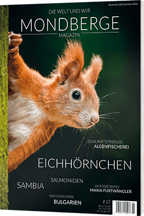 Geschenkabo MONDBERGE-Magazin