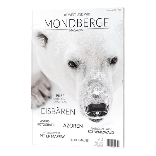 MONDBERGE Magazin - Ausgabe 12 (Eisbären)