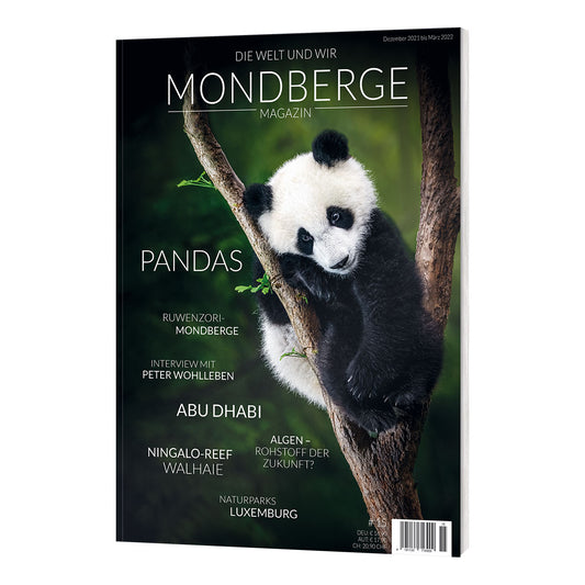 MONDBERGE Magazin - Ausgabe 15 (Pandas)
