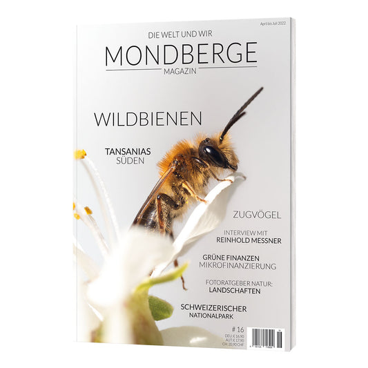 MONDBERGE Magazin - Ausgabe 16 (Wildbienen)